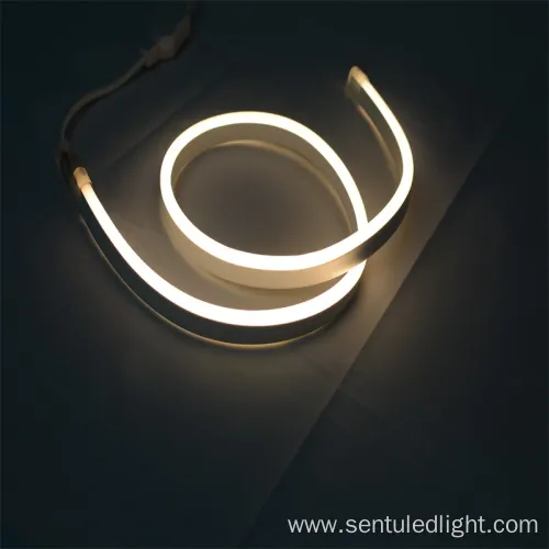 Hot Sale 220V SMD Flexible Neon Strip